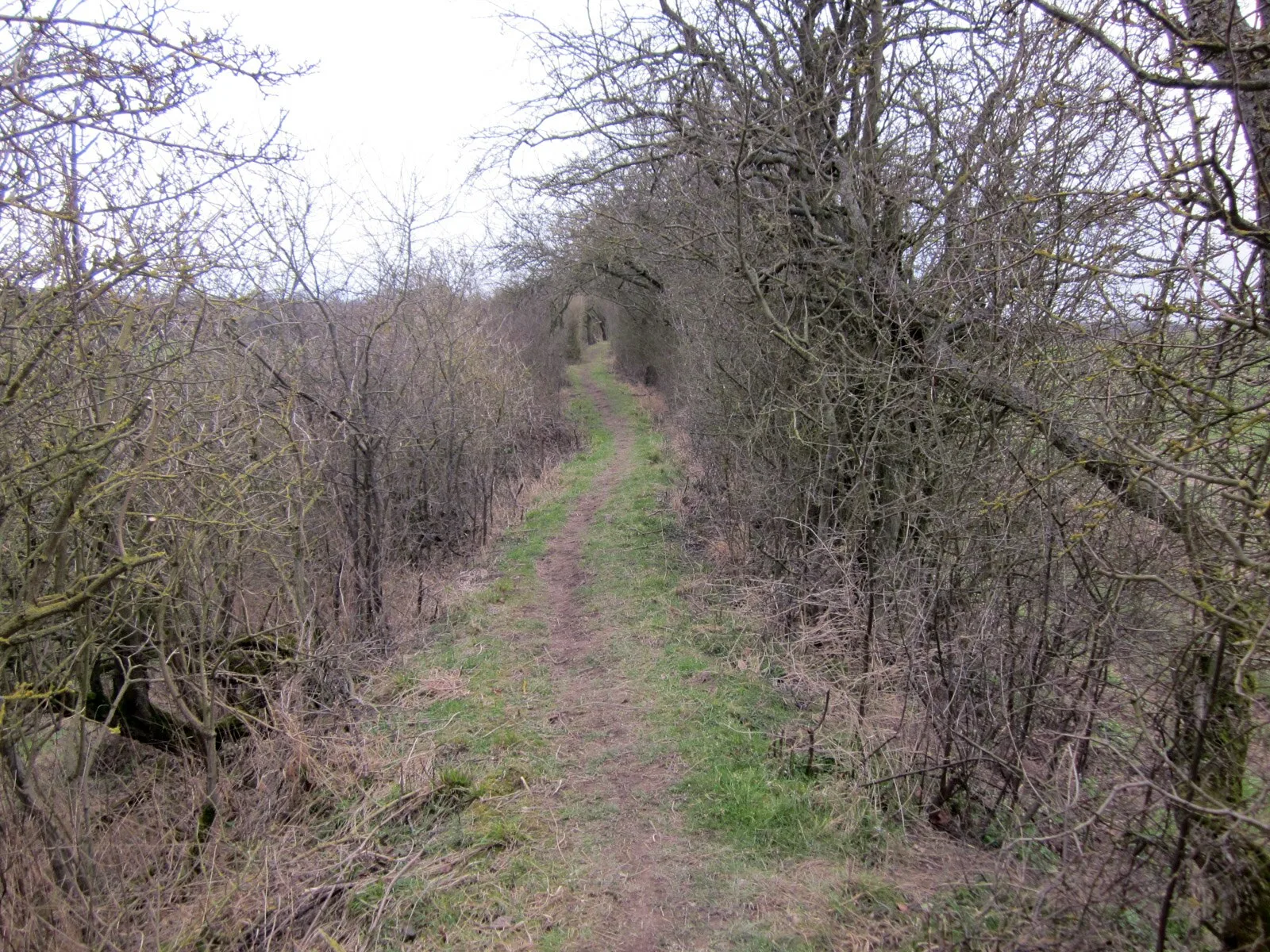Fleam Dyke